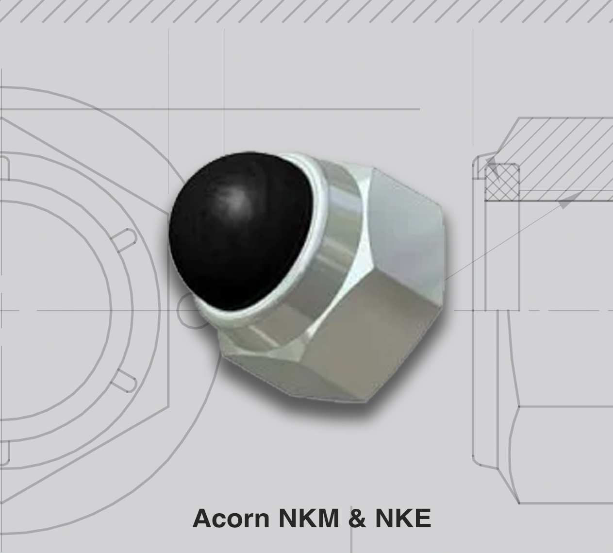 CP-Acorn-NKM-NKE.01
